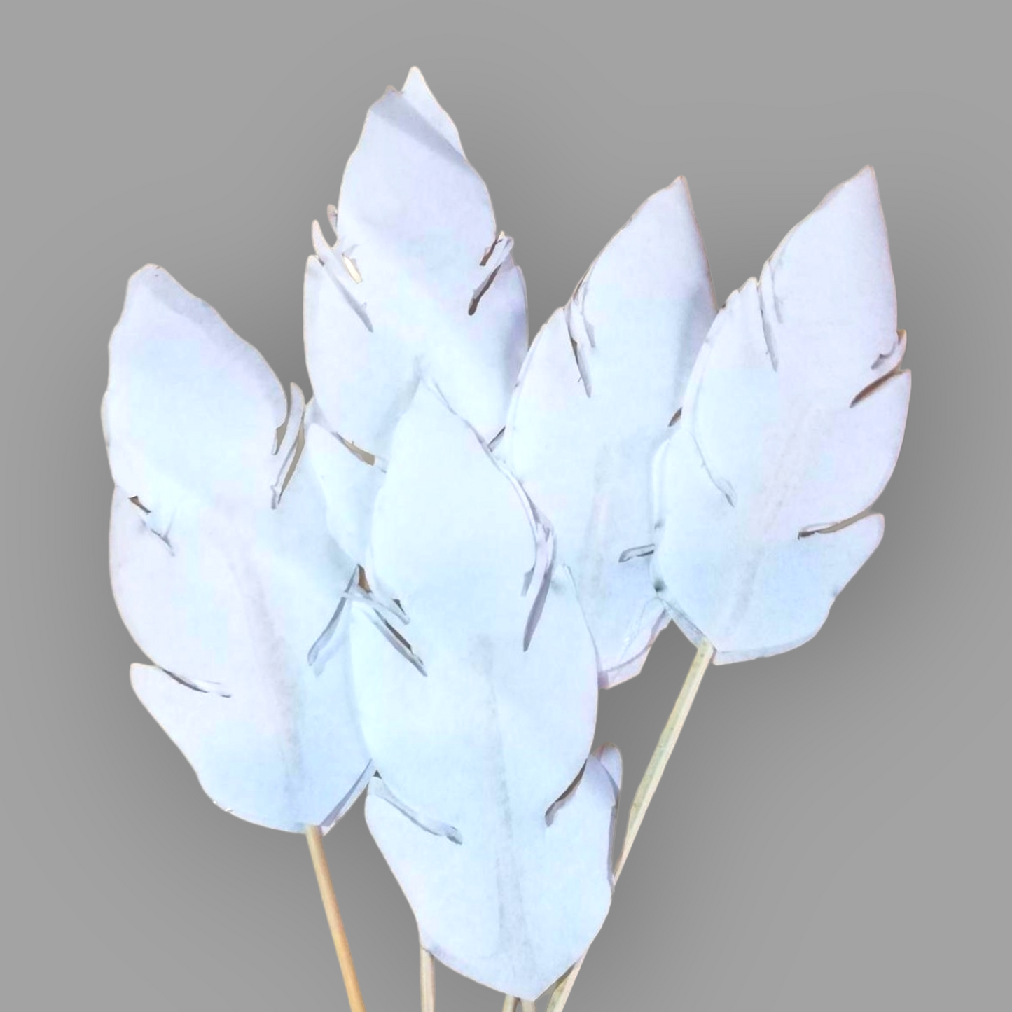 Paper feathers topper