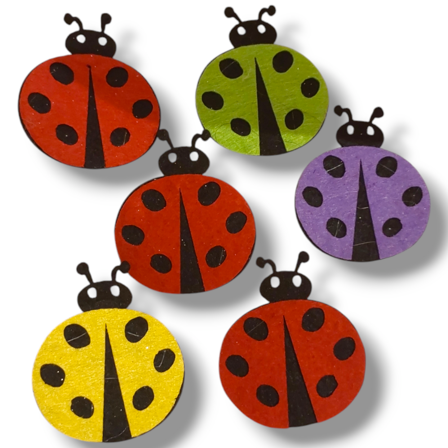 Lady bugs 6cm
