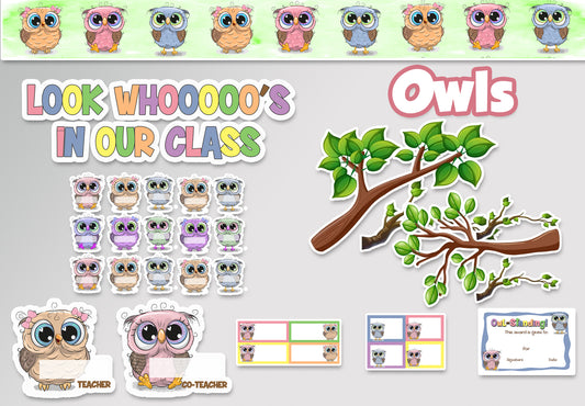 Owls Classroom theme