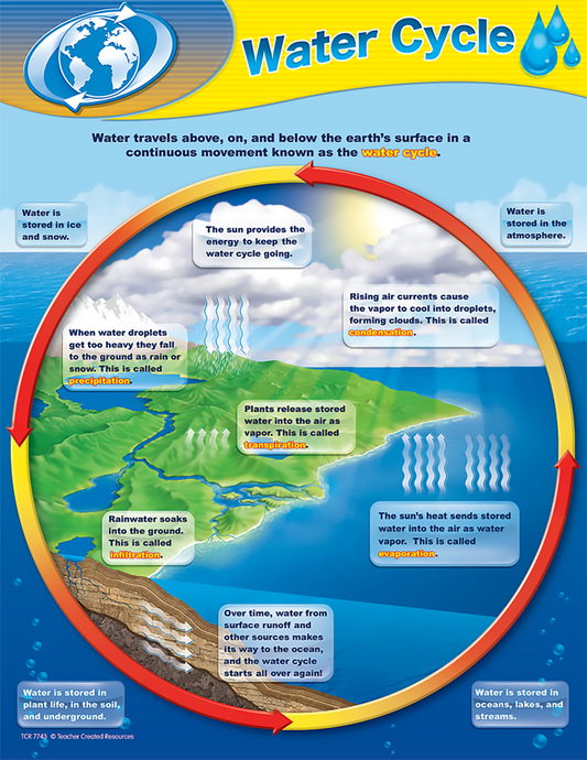 Science: Water cycle