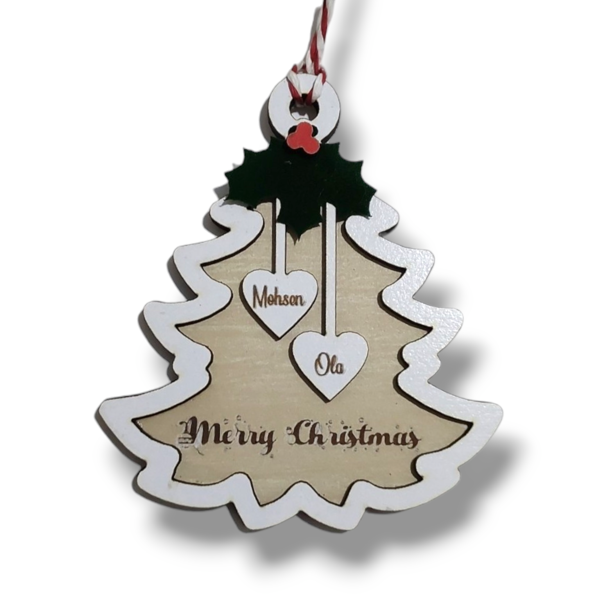 Ornament : Family personalized Christmas tree ornament