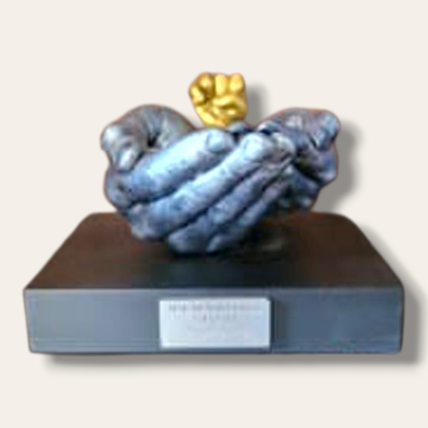 Family casting (Family nest) Package 8