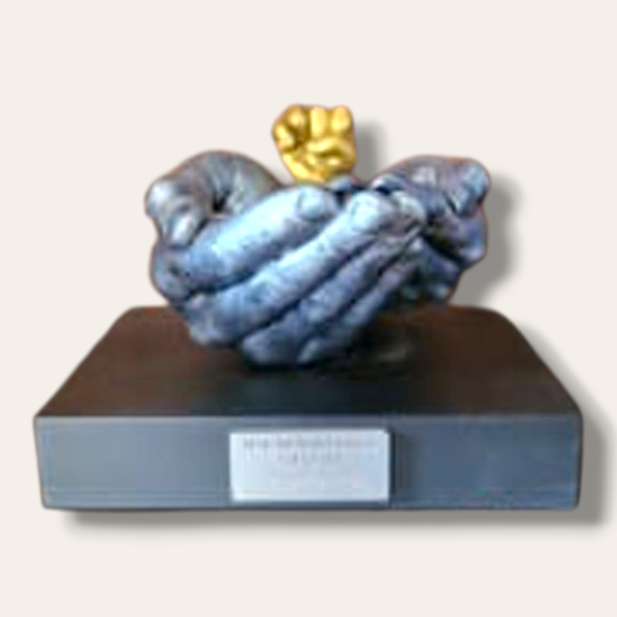 Family casting (Family nest) Package 8