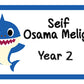 ""Baby Shark"