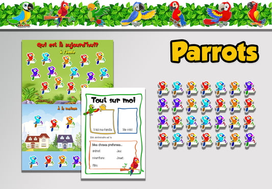Parrots Classroom theme
