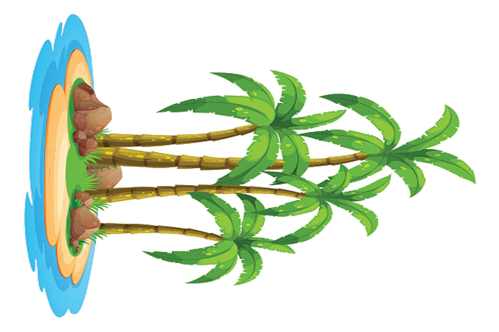 Pirates Welcome Board Set