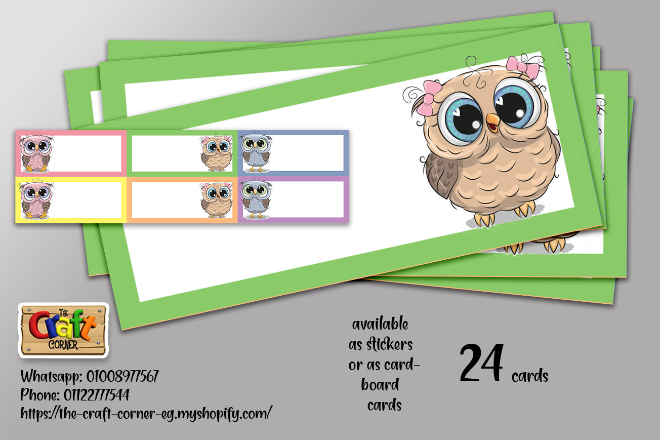 Owls Classroom theme