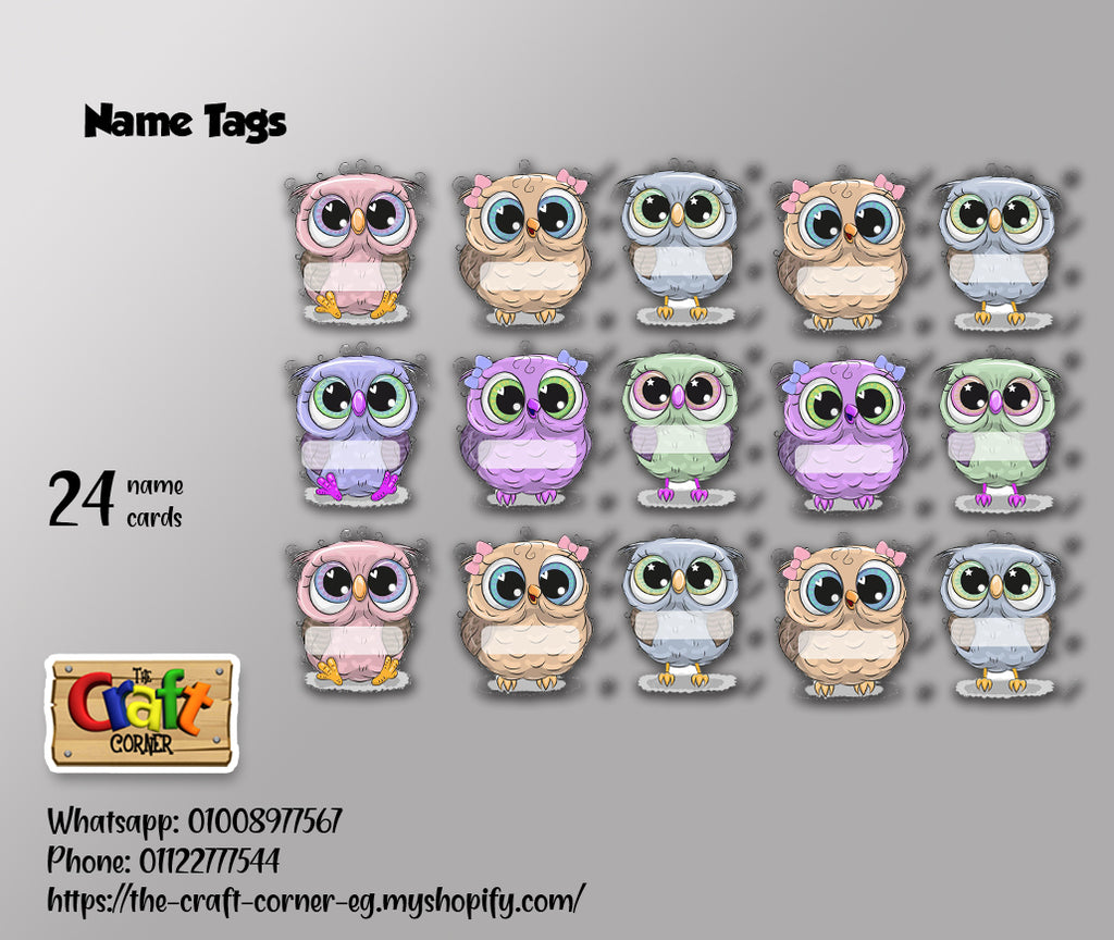 Owls Classroom theme