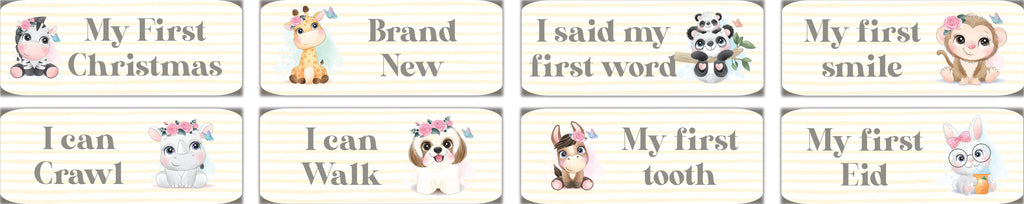 Baby milestone pictures mat set (Flowers)